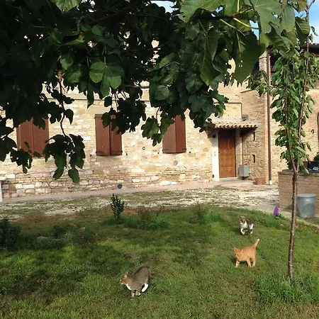 Assisi Holiday